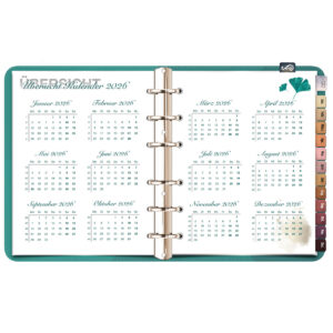Jahreskalender 2026 (ideal für Goodnotes)