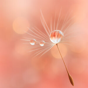 Ressourcen-Stärkung